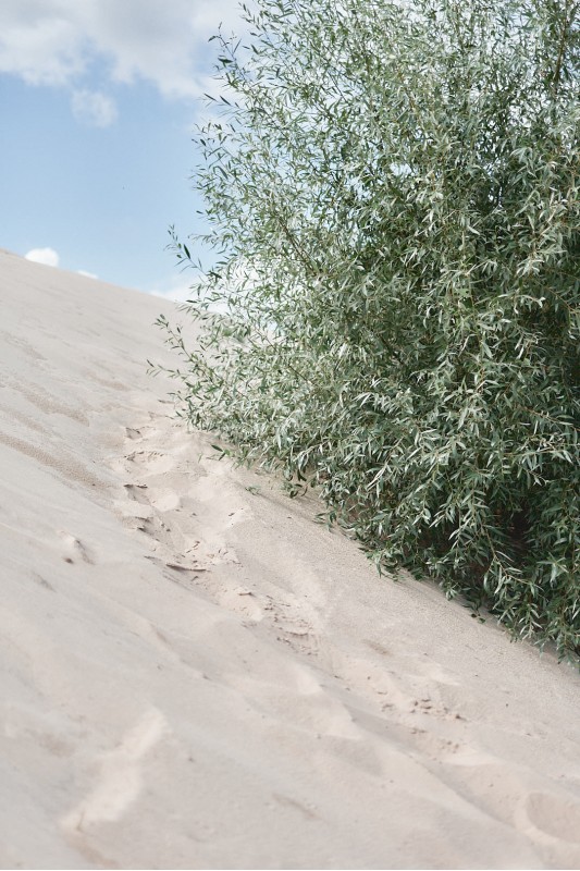 Фотосессия в Мозыре с декором в песках на карьере 040920 фото 16