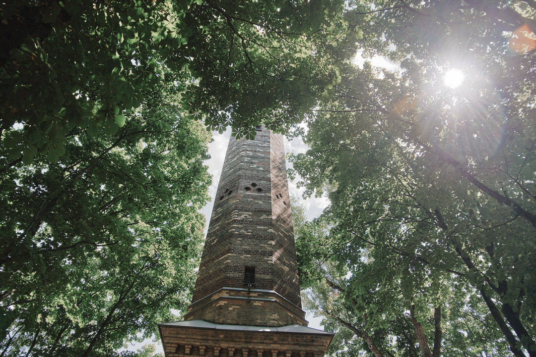 Места для свадебной фотосессии в Гомеле - ботанический Зимний сад 310721 фото 13